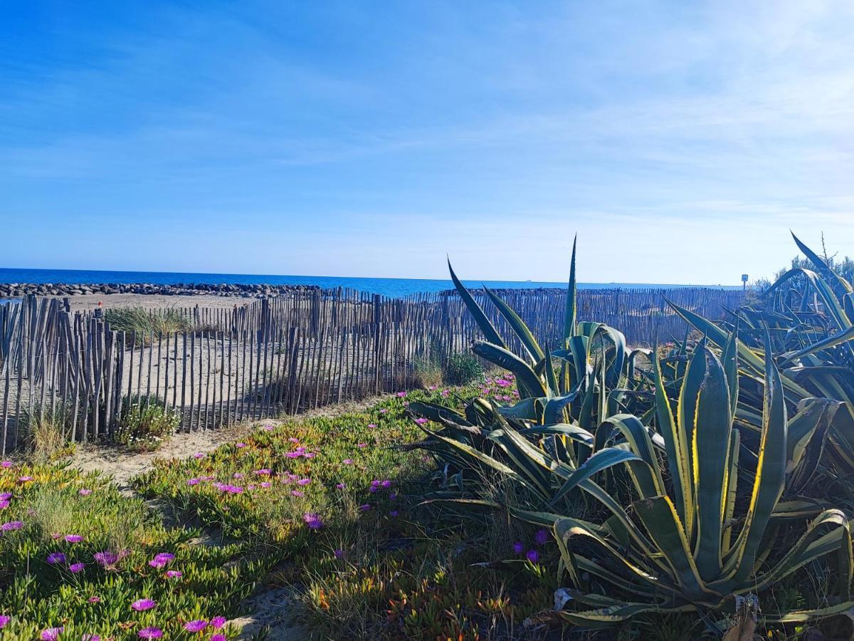 La Perle Bleue, 100 M De La Plage, Parking, Wifi Frontignan Exteriér fotografie